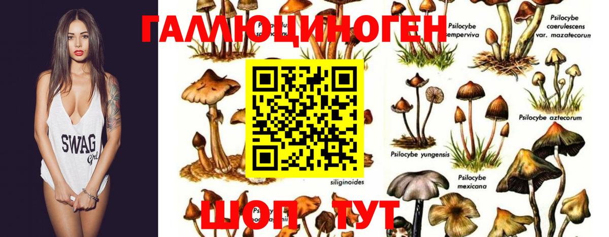 Альметьевск  Галлюциногенные грибы GOLDEN TEACHER  Вход с VPN 